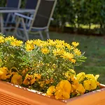 Appartement Giardino E Piscina