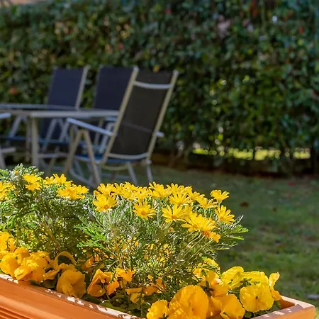 Giardino E Piscina Apartamento *