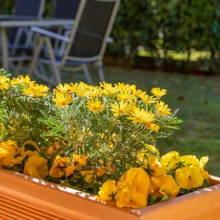 Apartamento Giardino E Piscina