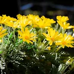 Giardino E Piscina * Белладжо